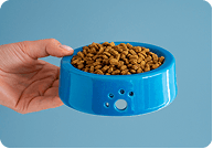 bowlsNfeeding