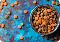 dodog-foodg-food