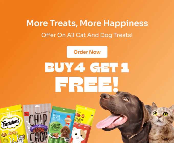 special offer