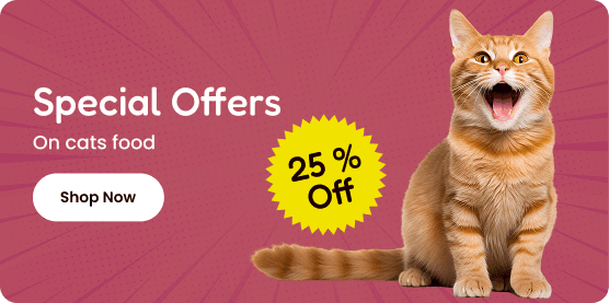 special offer